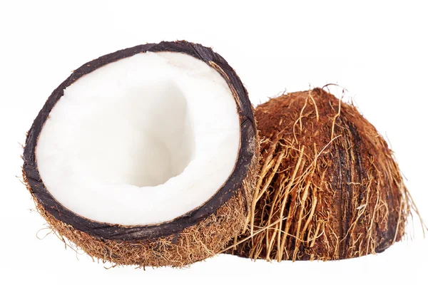 Frutas de coco isoladas sobre fundo branco — Fotografia de Stock