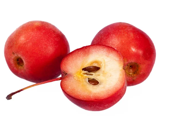 Rote Paradiesäpfel isoliert auf weißem Hintergrund — Stockfoto