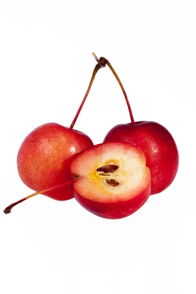 लाल नंदनवन सफरचंद पांढरा पार्श्वभूमीवर वेगळे — स्टॉक फोटो, इमेज