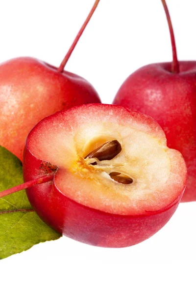 Paraíso rojo manzanas aisladas sobre fondo blanco, de cerca — Foto de Stock