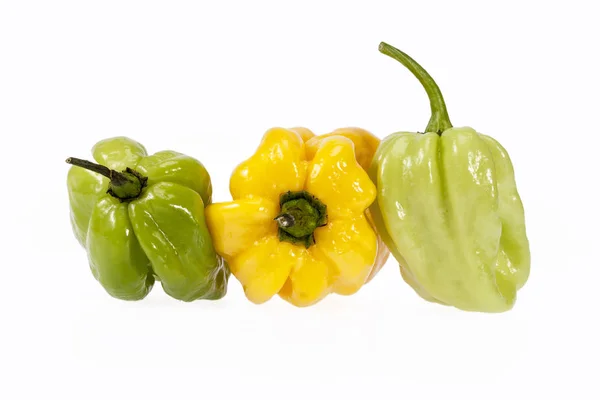 Vegetables of small yellow and green chili pepper habanero  on white background — Stock Photo, Image