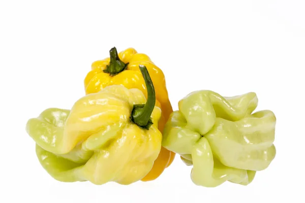 Vegetable of small yellow and green chili pepper habanero Royalty Free Stock Photos