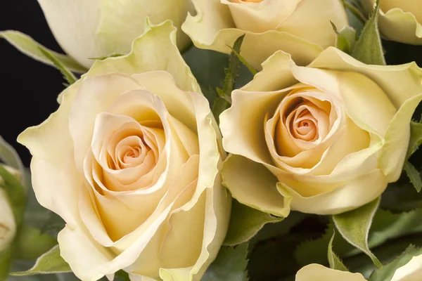 Strauß gelber Rosen auf schwarzem Hintergrund — Stockfoto