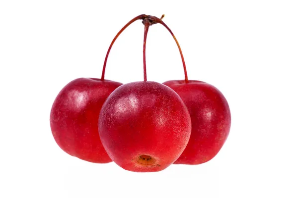 Red paradise appels geïsoleerd op witte achtergrond, close up — Stockfoto
