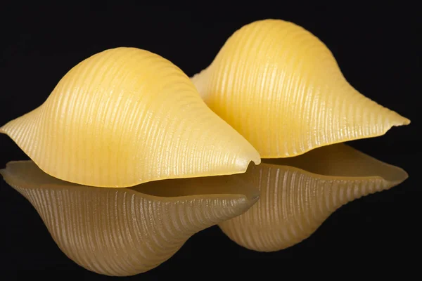 Massa conchiglie, alguns conchas isoladas em fundo preto — Fotografia de Stock