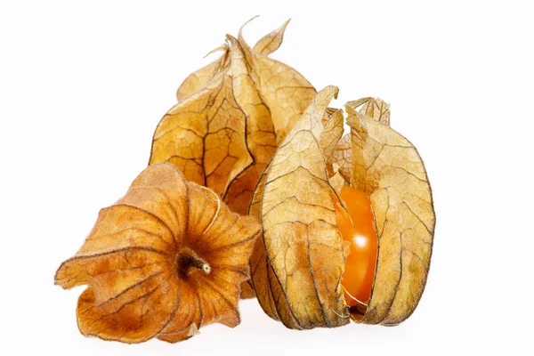 Frutta Physalis (Physalis peruviana) isolata su fondo bianco — Foto Stock