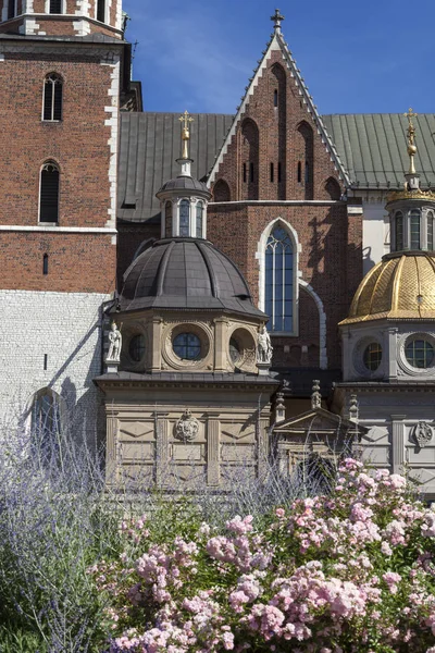 Wawel Cathedral  on Wawel Hill,  Krakow, Poland — Stock Photo, Image