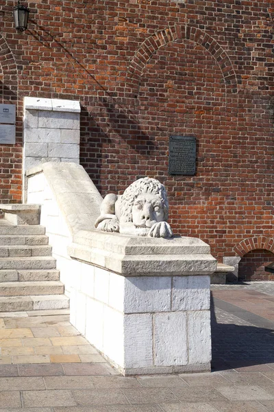 Kamenná socha lva, radniční věž, Krakov, Polsko — Stock fotografie