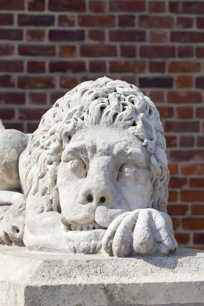 Stone sculpture of a lion, Town Hall Tower, Krakow, Poland — Stock Photo, Image