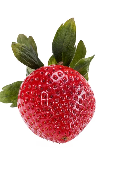 Fruit of strawberry isolated on white background, close up. — Stock Photo, Image