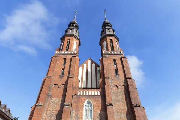 Katedrální baziliky svatého kříže, Opole, Polsko — Stock fotografie