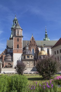 Wawel Katedrali Wawel Hill, Krakow, Polonya