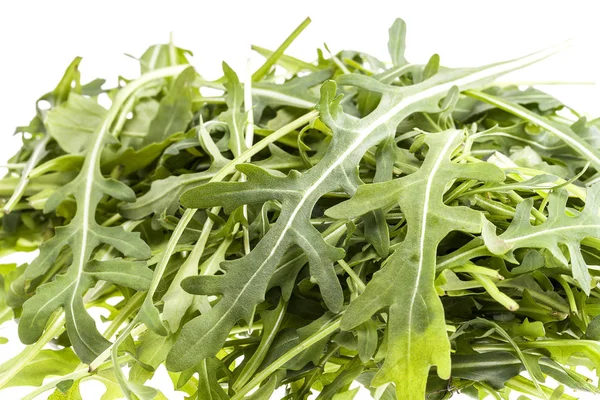 Pico de folhas de arugula em um fundo branco — Fotografia de Stock