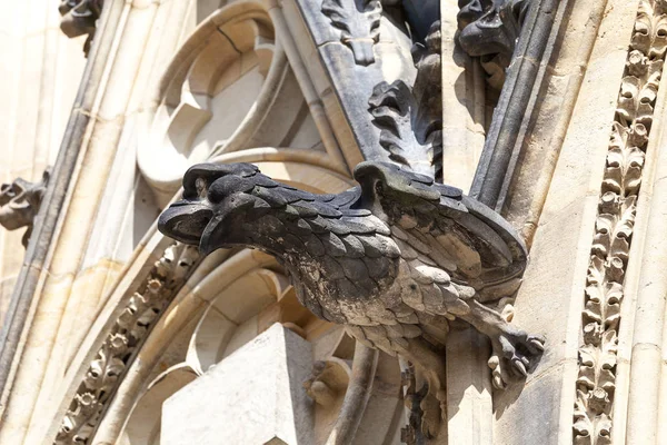 Catedral de San Vito del siglo XIV, gárgola, pájaro de piedra, Praga, República Checa — Foto de Stock