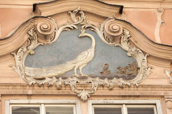 Relief on facade of old building, peacock, Prague, Czech Republic — Stock Photo, Image