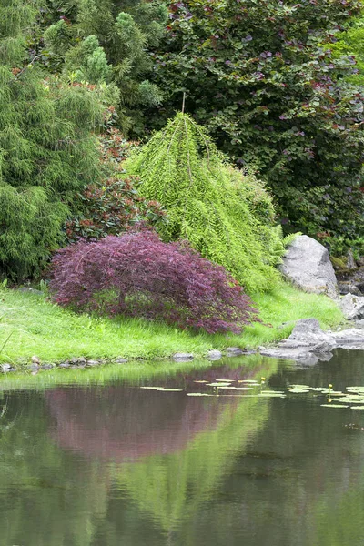 Japanse tuin, exotische planten, Wroclaw, Polen — Stockfoto