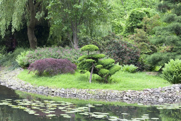 Japanse tuin, exotische planten, Wroclaw, Polen — Stockfoto