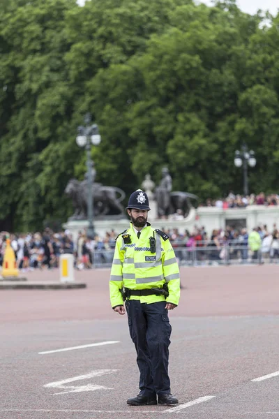 Metropolitan policeman and tourist waiting for ceremonial  changing of the London guards in front of the Buckingham Palace, London, United Kingdom — Stock Photo, Image