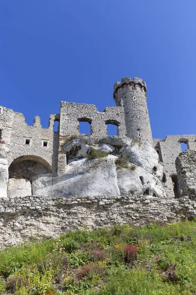 14 世紀の中世の城、Ogrodzieniec 城、ワシの巣、ポザムチェにある、ポーランドのトレイルの遺跡 — ストック写真