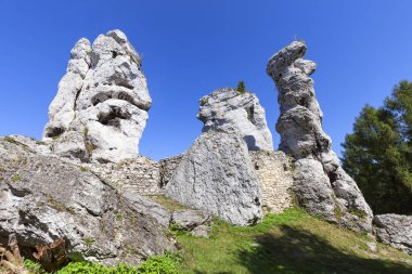 14. yüzyılın ortaçağ kalesi kalıntıları ediyor, Ogrodzieniec Kalesi, iz kartal yuva, Podzamcze, Polonya