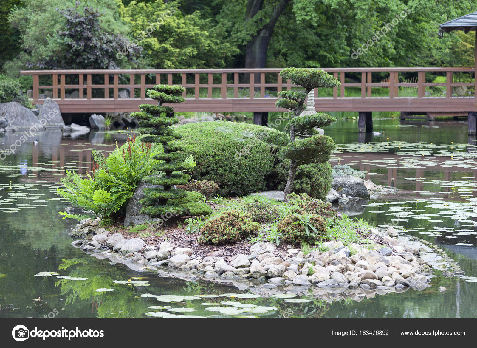 Japanischer Garten, exotischen Pflanzen, Wroclaw, Polen — Stockfoto ... Japanischer Garten, exotischen Pflanzen, Wroclaw, Polen — Stockfoto ...