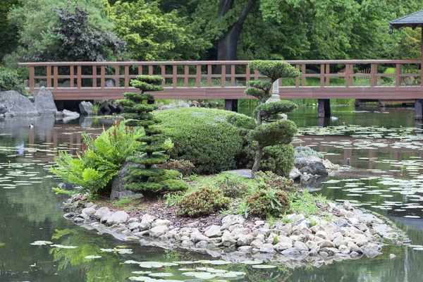 Jardín japonés con estanque y pequeño puente y plantas. — Foto de stock