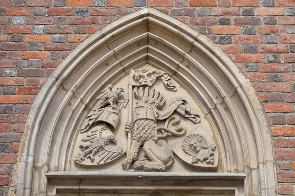 Gothic Wroclaw Old Town Hall on market square, relief on facade,  Wroclaw, Poland — Stock Photo, Image