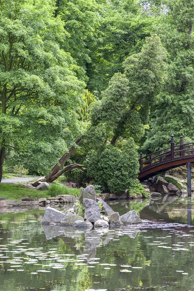 Giardino Giapponese, Piante esotiche, Primavera, Wroclaw, Polonia — Foto Stock