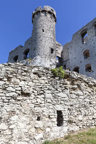 Ruínas do castelo medieval do século XIV, Castelo de Ogrodzieniec, Trilha dos Ninhos das Águias, Ogrodzieniec, Polónia — Fotografia de Stock