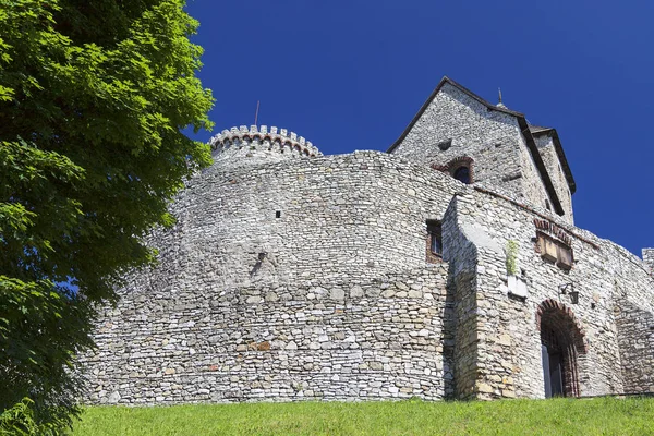 Ortaçağ Gotik Kalesi, BEDZIN Kalesi, Yukarı Silezya, Witham, Polonya — Stok fotoğraf