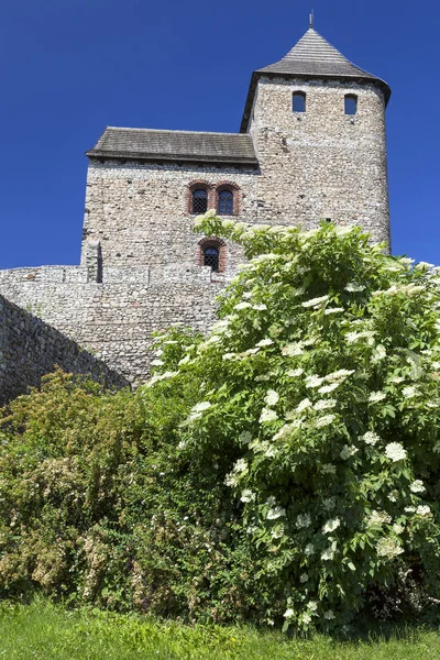 Medieval gothic castle, Bedzin Castle, Upper Silesia, Bedzin, Poland