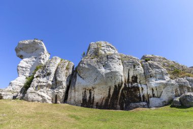 Güzel kireçtaşı rock Lehçe Jurassic Highland (Krakow-Czestochowa Upland), Polonya. 