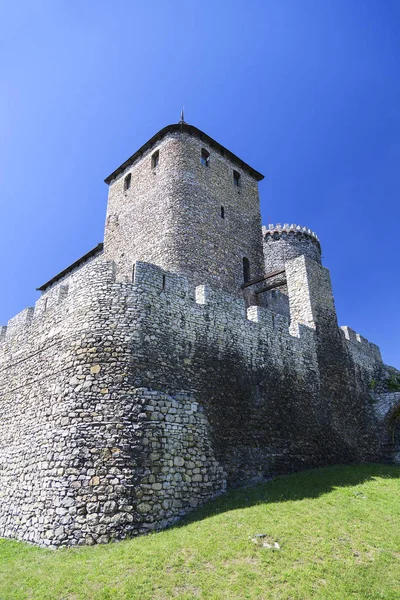 Ortaçağ Gotik Kalesi, BEDZIN Kalesi, Yukarı Silezya, Witham, Polonya — Stok fotoğraf