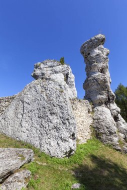 Güzel kireçtaşı rock Lehçe Jurassic Highland (Krakow-Czestochowa Upland), Polonya
