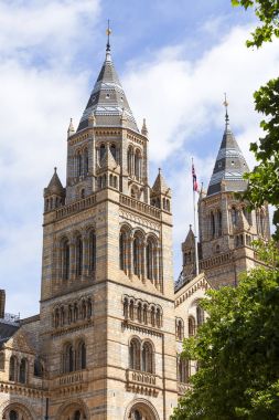 Doğal Tarih Müzesi ile süslü pişmiş toprak cephe, Victorian mimarisi, London, Büyük Britanya