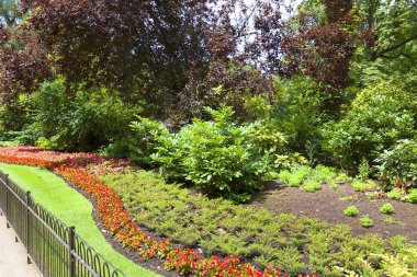 Kensington Gardens, Royal Park, flowerbed, London, Büyük Britanya