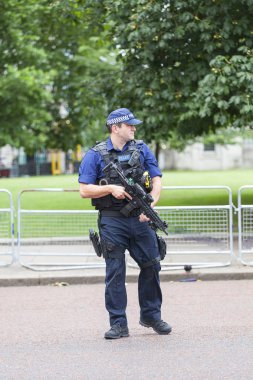 Metropolitan Polis memuru silahlı tören değiştirme sırasında Londra muhafızları, London, Büyük Britanya