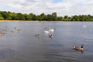 Kensington Gardens, Royal Park, uzun su, London, Büyük Britanya