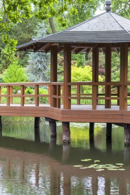 Wroclaw, Polonya - 13 Haziran 2017: Japon bahçesi, egzotik bitkiler, Bahar. 1909-1913, Szczytnicki Parkı içinde yer alan Japon bahçesi kuruldu