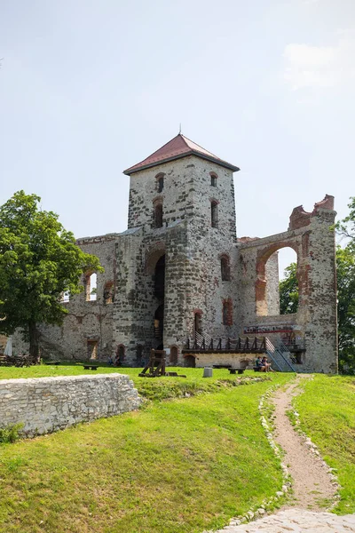 ポーランドルドノ 2018年7月21日 クラクフ近郊の15世紀中世の城 テンジン城 ポーランド ジュラ遺跡 — ストック写真