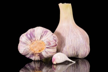 Siyah arka planda izole edilmiş taze sarımsak başları, yakın plan.