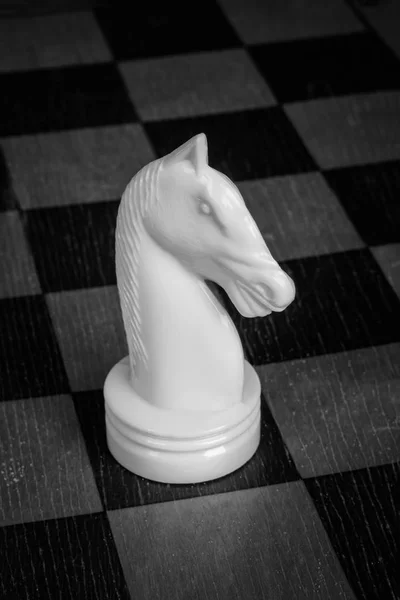 Isolierter weißer Ritter auf dem Schachbrett. schwarz-weiß — Stockfoto