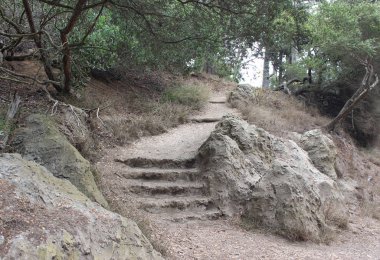 Taş merdiven ve bir orman yolu