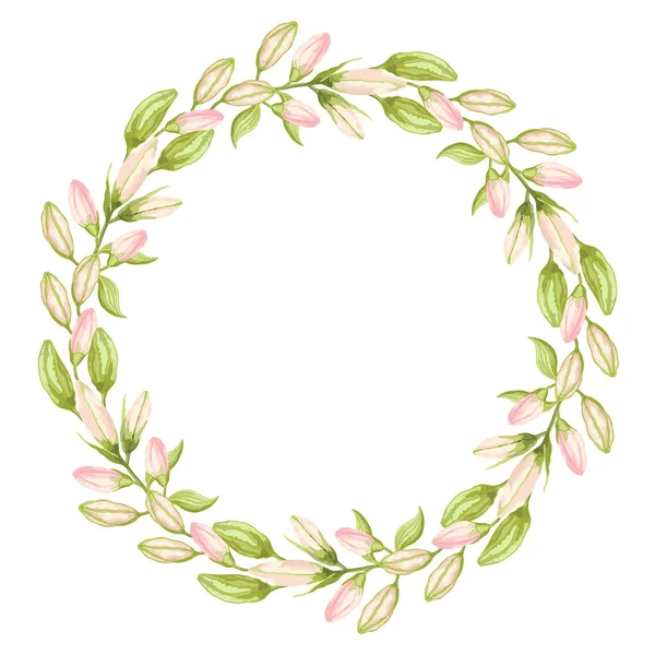 白色背景上粉色和绿色百合花花蕾的花环. — 图库矢量图片
