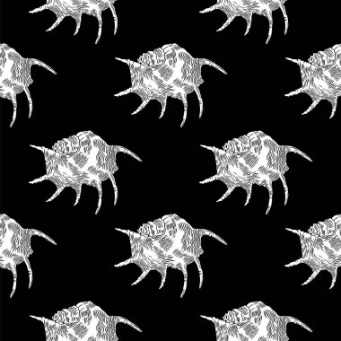 Örümcek deniz kabuğu mu, kuzu deniz kabuğu mu? Elle çizilmiş kusursuz desenler. Siyah arkaplanda vektör illüstrasyonu.