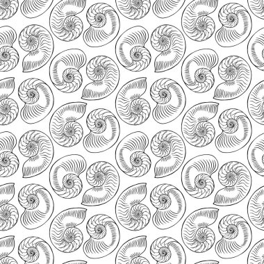 Nautilus Kaplan Yarım Kabuk. Siyah ve beyaz, pürüzsüz desenlerin el yapımı koleksiyonu. Beyaz arkaplanda vektör illüstrasyonu.