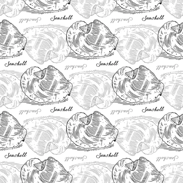Seamless Pattern Large Seashells Calligraphy Hand Drawn Monochrome Collection Vector — Stock Vector