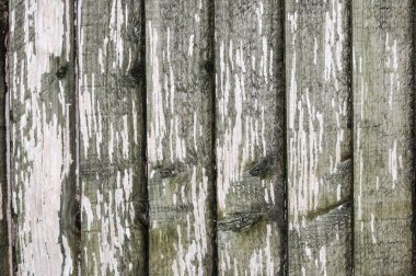 Ahşap panel duvar doku grunge boya pealed