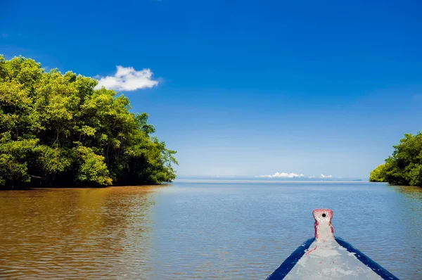 Річка Caroni рот човні відкрите море через мангрові зарості — стокове фото