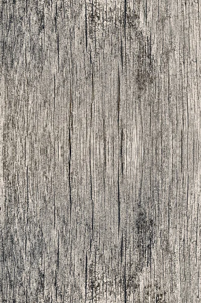 Textura de madeira fundo velho poroso seco rachado vazio envelhecido madeira superfície áspera closeup material cor natural vintage prancha — Fotografia de Stock
